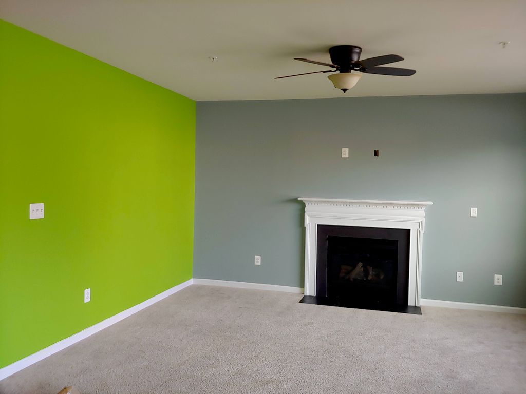 painting job in White Plane MD