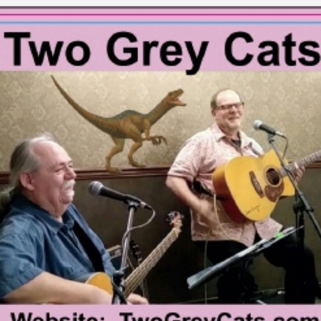 Two Grey Cats