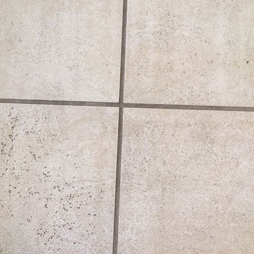 Tile and Grout Cleaning