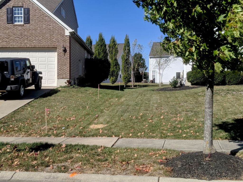 The Boundary Line is clearly marked for a fence in