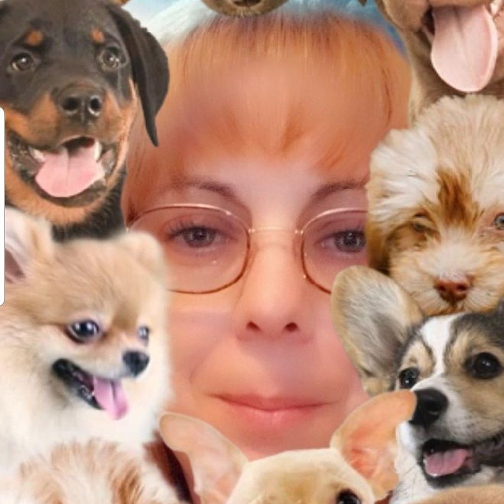 Kristina's Kritter Care