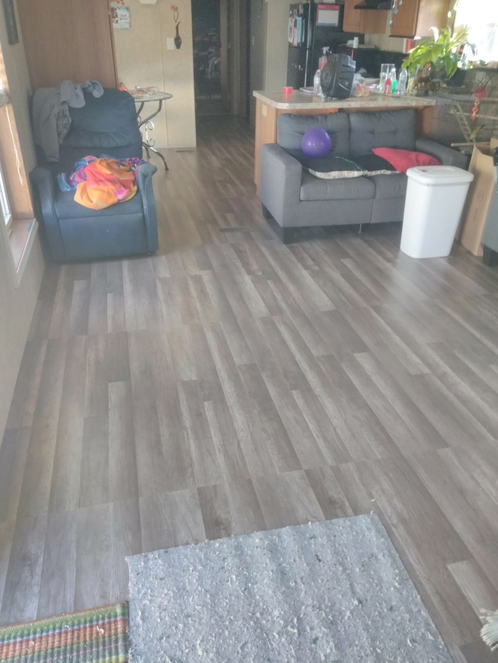 Projects and media