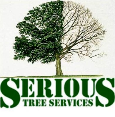 Avatar for Serious Tree Services