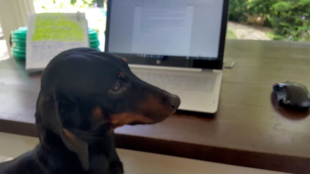 My little helper...