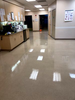 The 10 Best Floor Cleaning Services In Murrieta Ca 2020