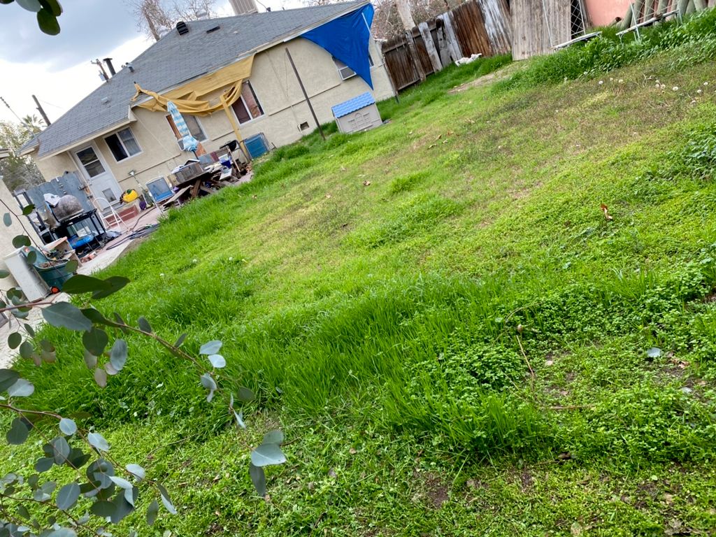 Clean up (before)