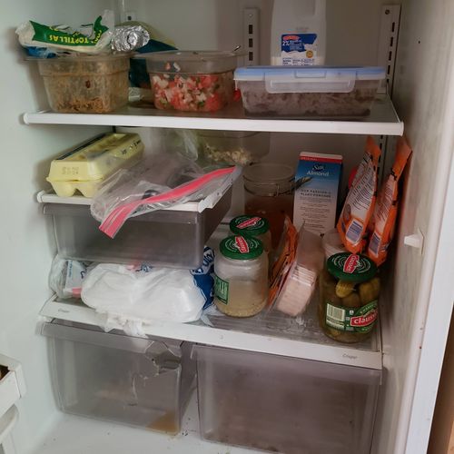 Refrigerator before Jessi