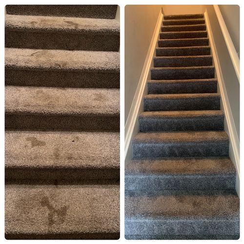 Before and after carpet cleaning stairs 