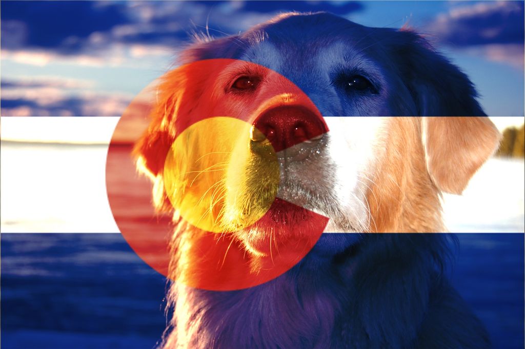 Collarado Canine Care