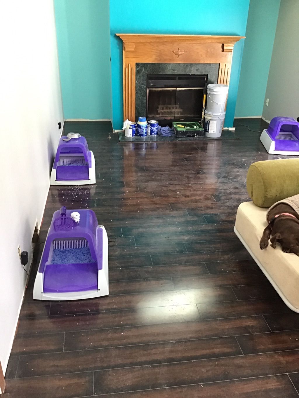 Customer photos