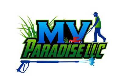 Avatar for MV Paradise