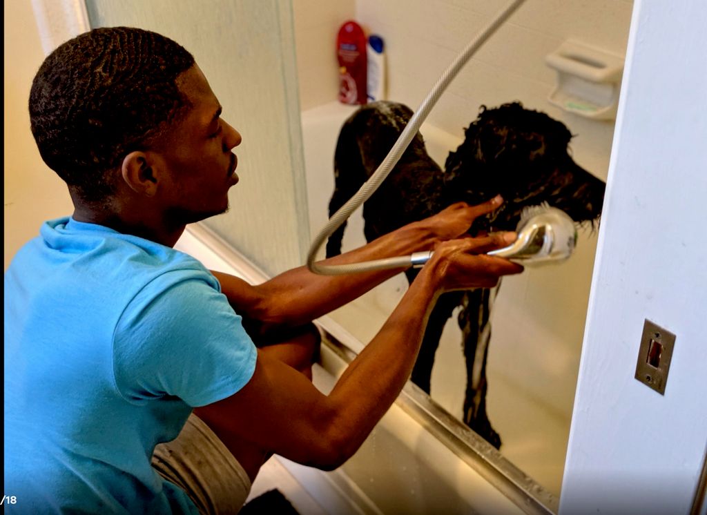 We Bring Grooming to You!