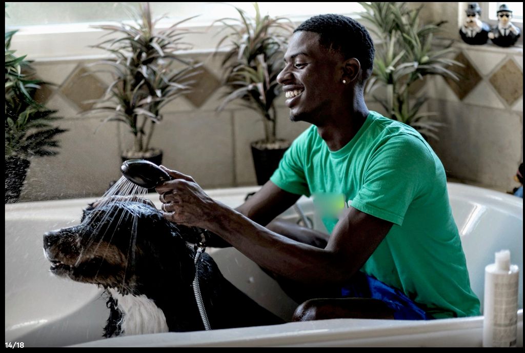 We bring grooming to THEIR home!