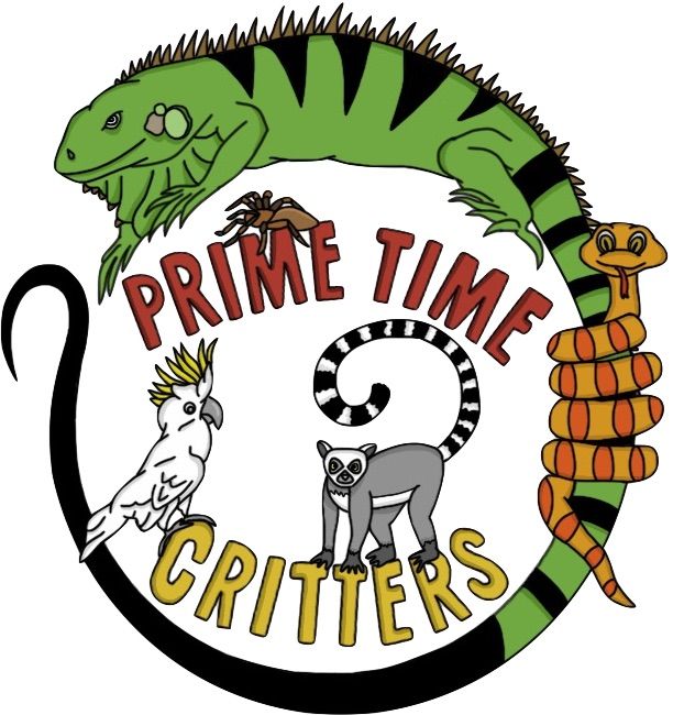 Prime Time Critters