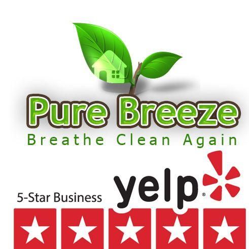 Pure Breeze Chimney & Fireplace Experts