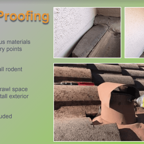 The best rodent proofing in town! Guaranteed to ke