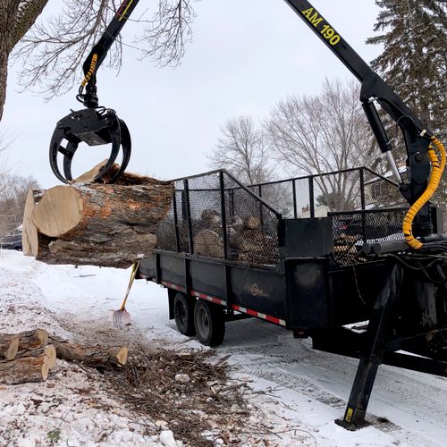 Easy Tree Service Saint Paul Mn