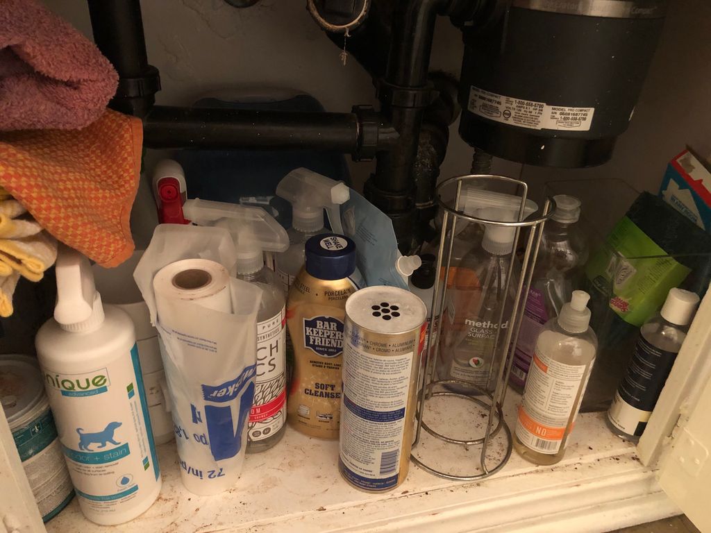 Before Photo Under Kitchen Sink