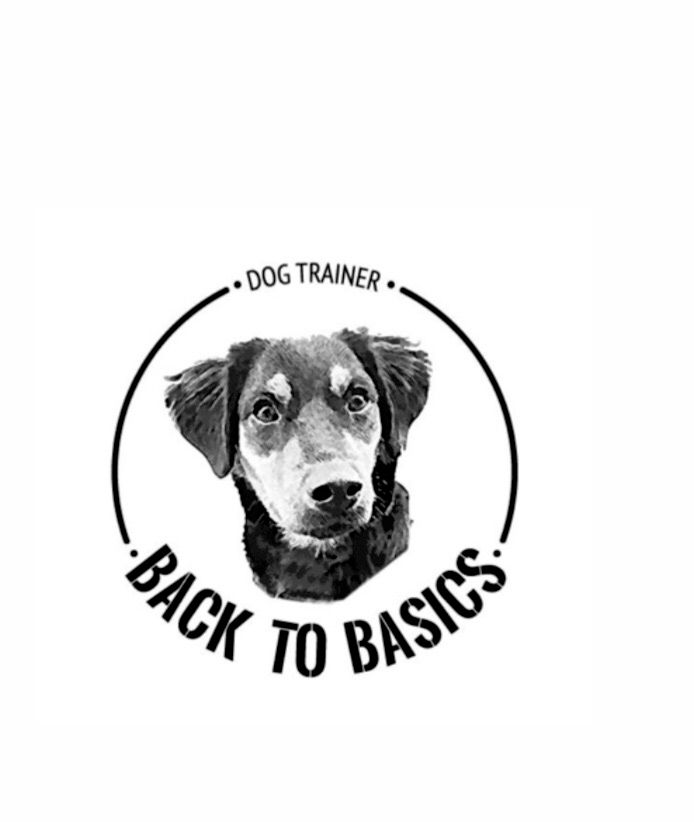 Back to Basics Dog Training