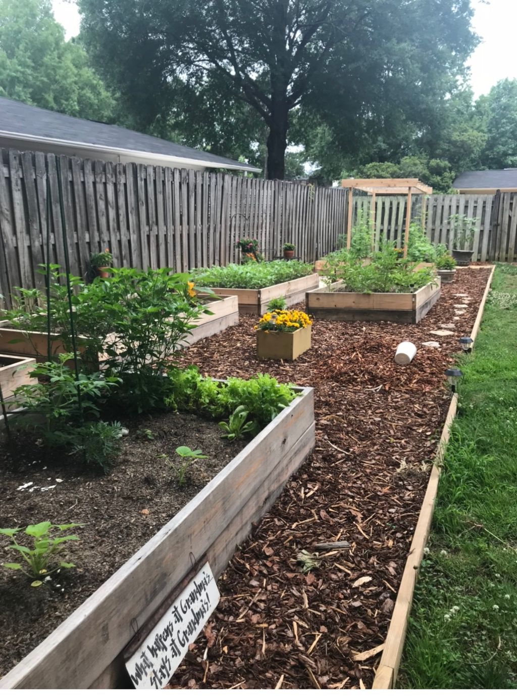 Customer photos