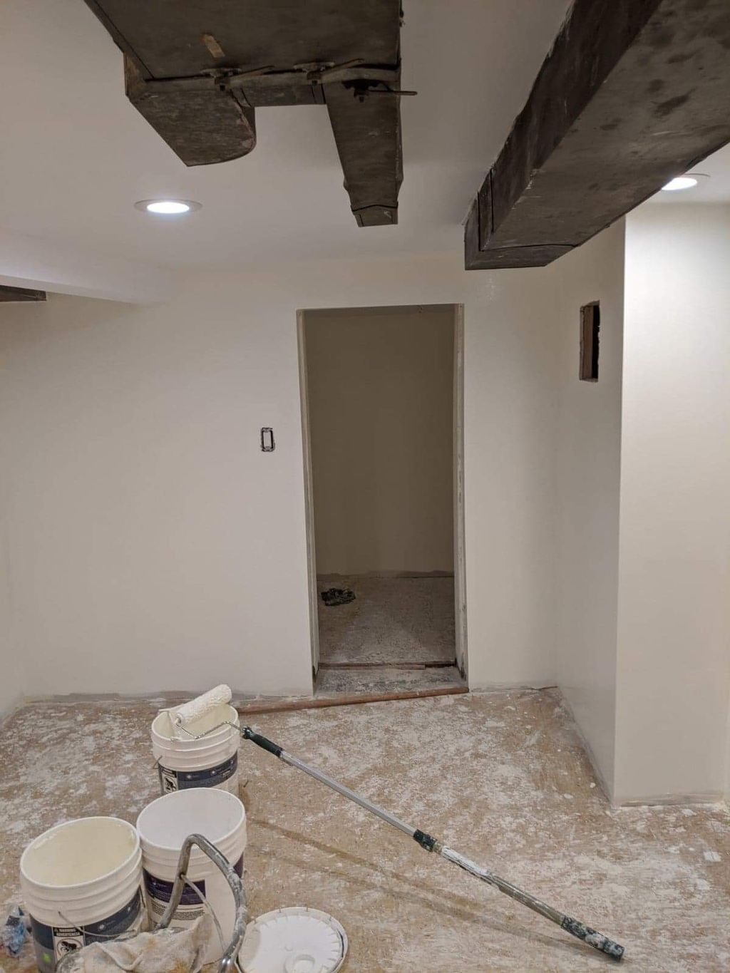 Basement Room 1 Closet 