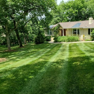 Avatar for New Leaf  Lawn and Landscape * Licensed and Ins...