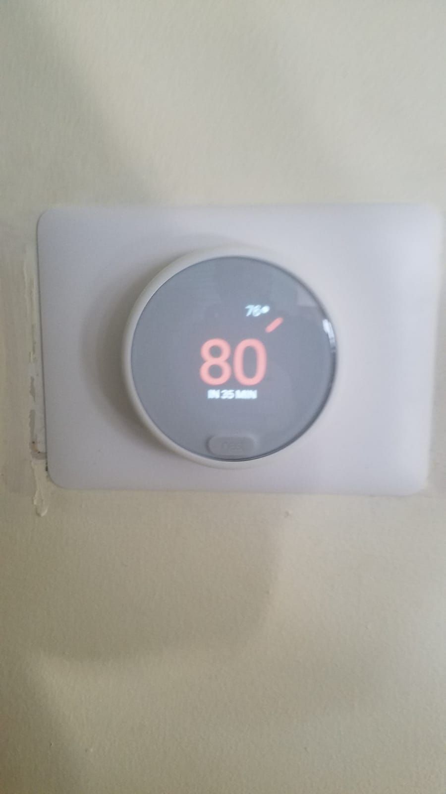 Smart Thermostat (Nest)