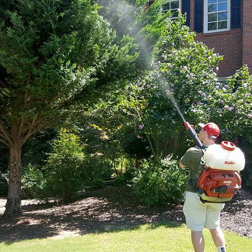 Mosquito fogging treatments keep mosquitoes out of