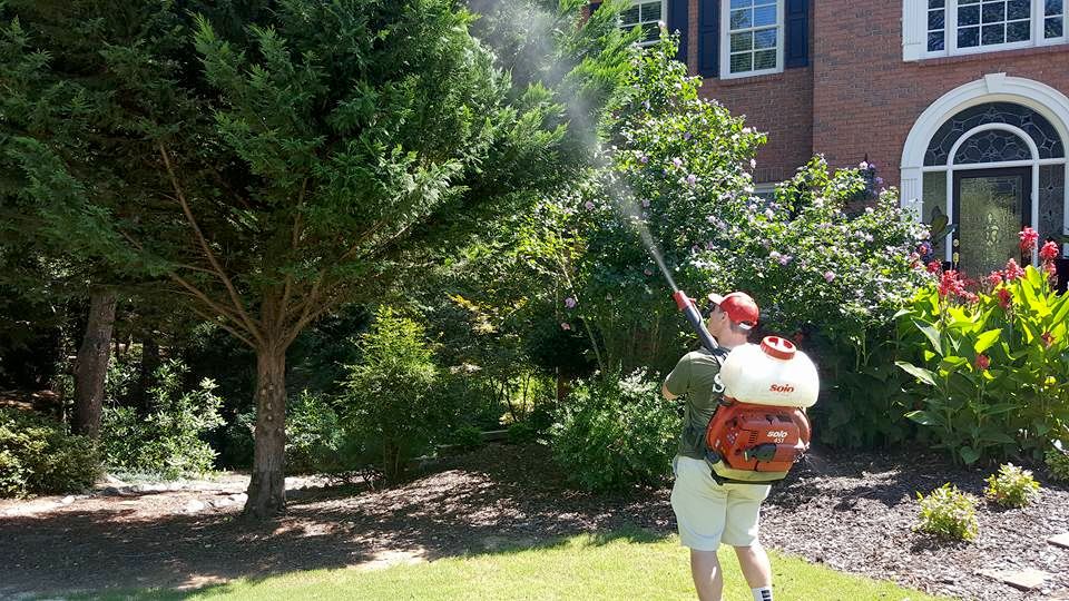 Mosquito fogging treatments keep mosquitoes out of