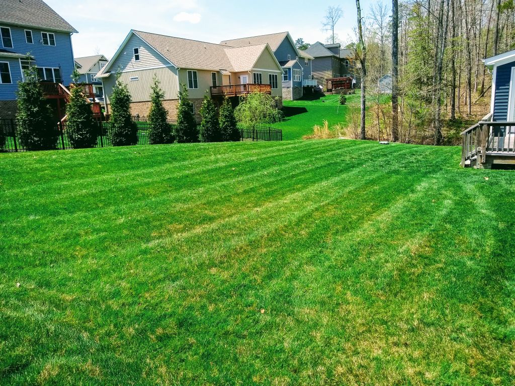 Lawn Mowing and Trimming