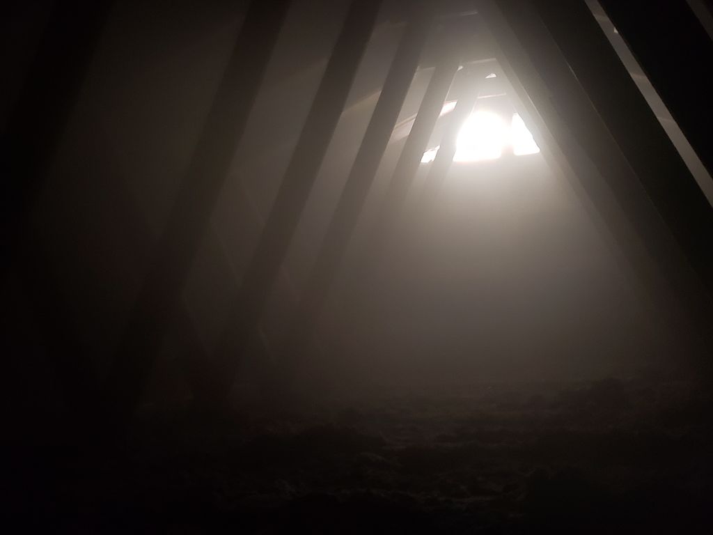 Fogging Moldy Attic