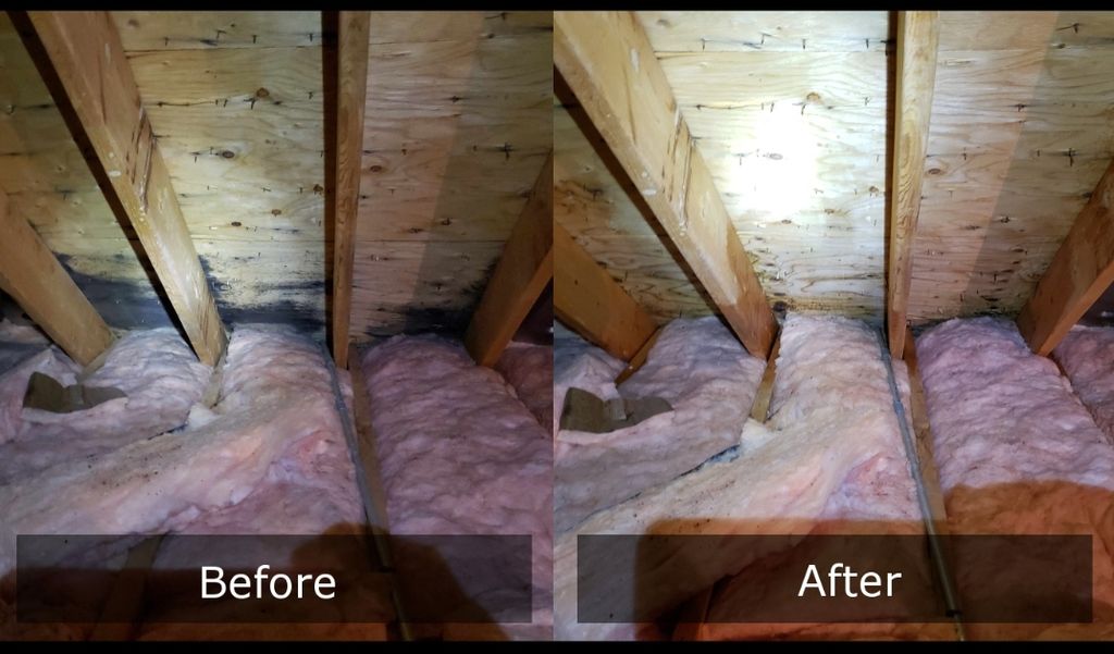 Moldy Attic