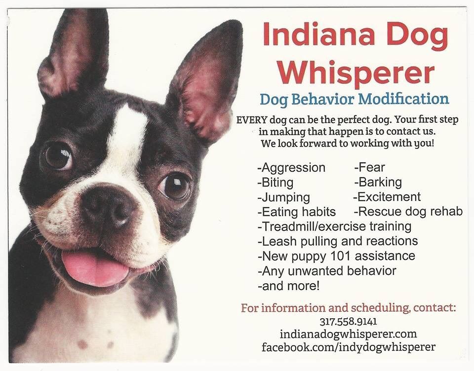 Indiana/Ohio Dog Whisperers - Columbus, OH