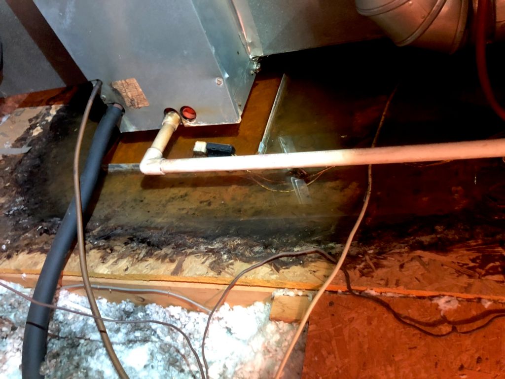 This is what a faulty float switch in an attic can