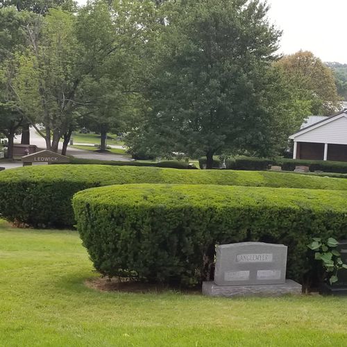 bushes I trimmed at a cemetery 
