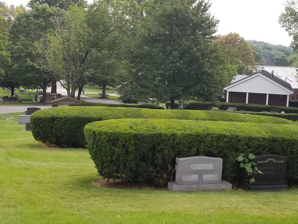 bushes I trimmed at a cemetery 