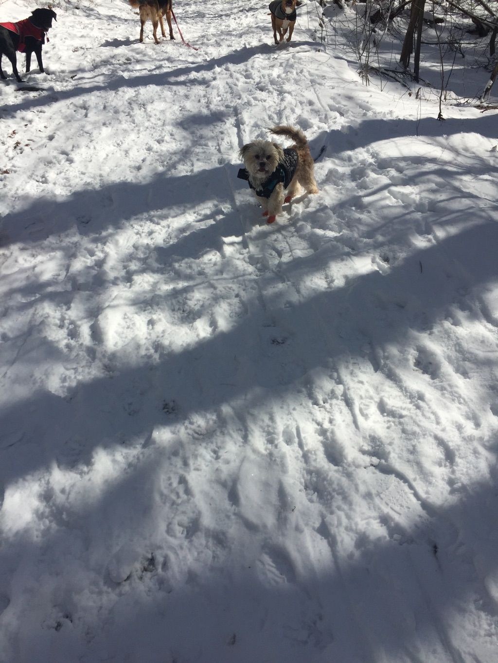 Lets go mommy!