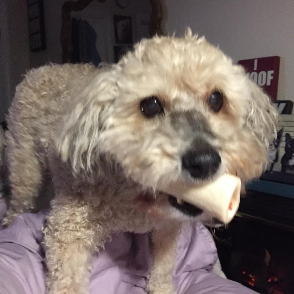 Ive got the cookie n you cant have any
