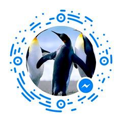 pro avatar