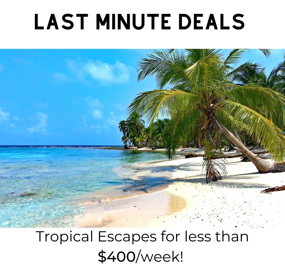 We have consistent last minute travel deals. 