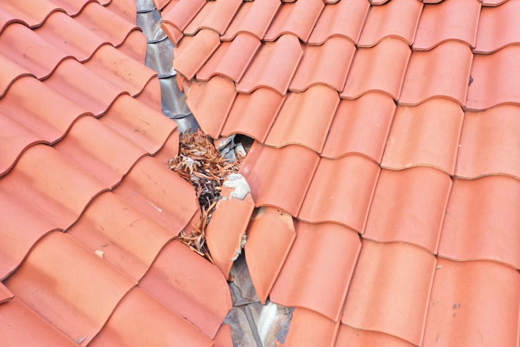 missing and broken tiles allowing leakage that was