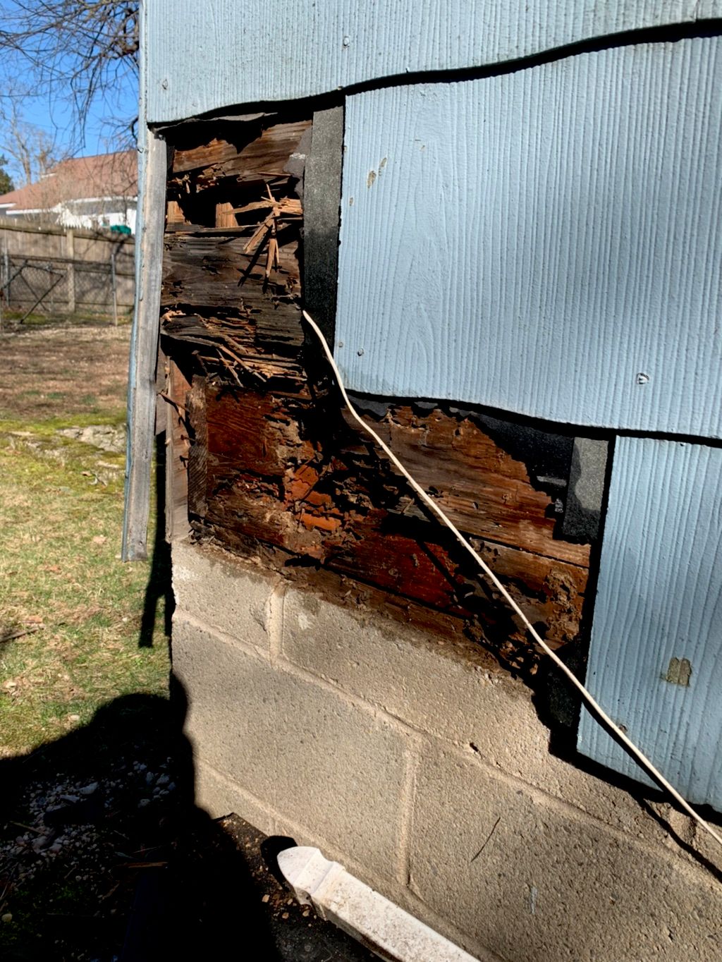 Always protect your home from termites they do ext