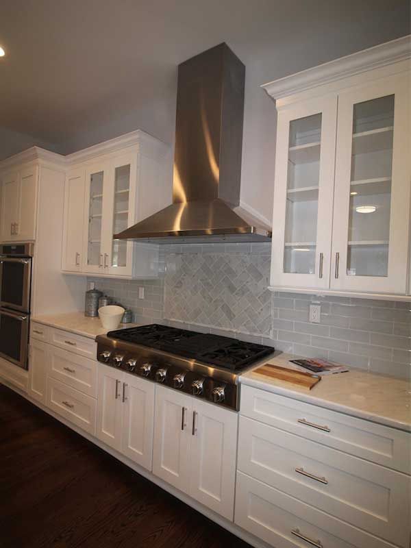 Pro Style Cook top and Chimney hood