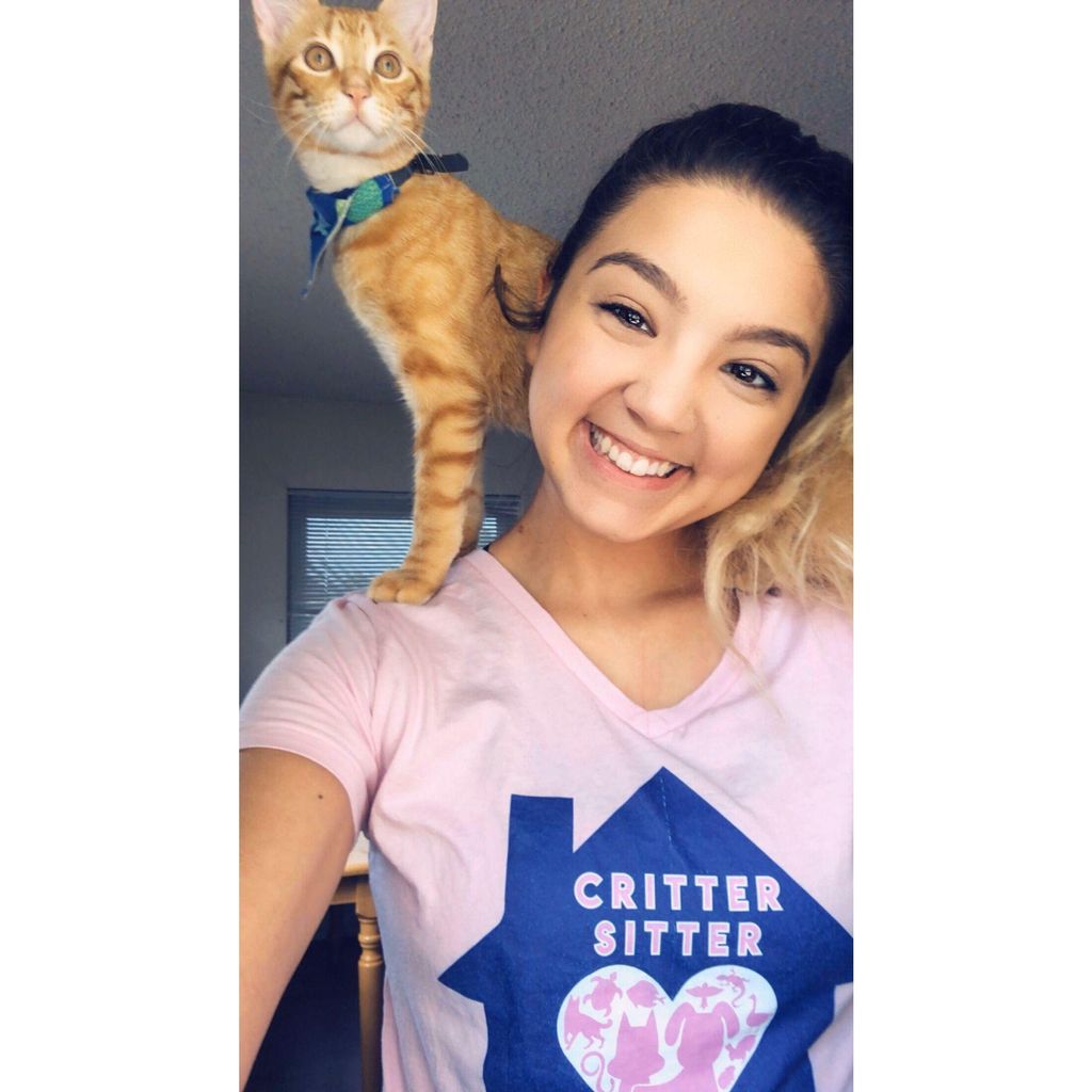 CallMeTheCritterSitter