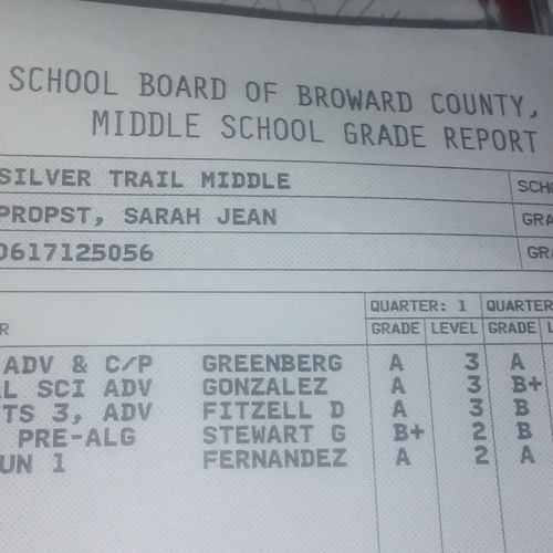 Scores at school in 8th grade.