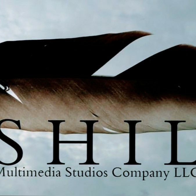 Shil Multimedia Studios Company LLC