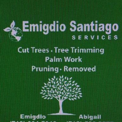 Avatar for EMIGDIO TREE SERVICE