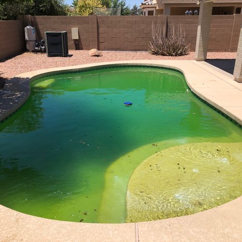Josh took care of a pool that was neglected badly 