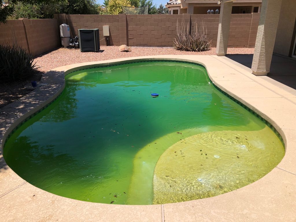 Josh took care of a pool that was neglected badly 