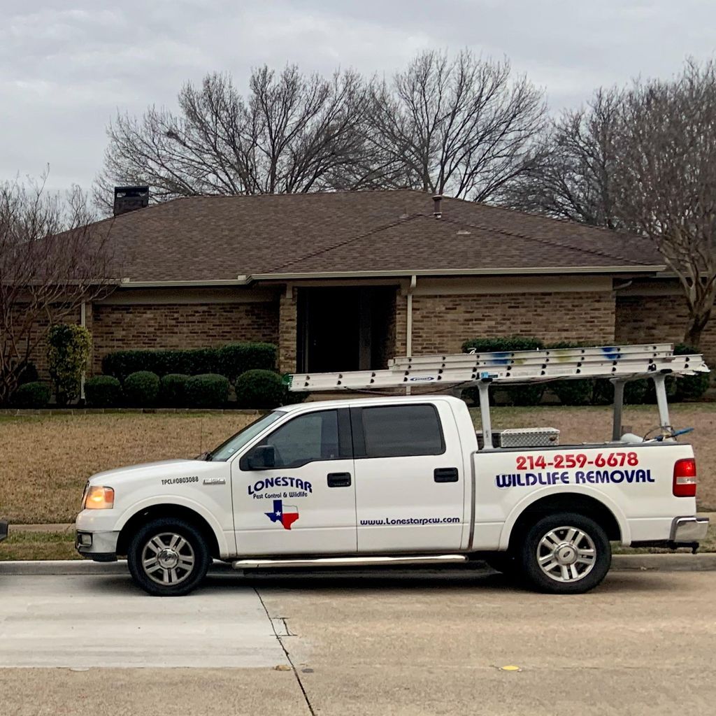 Lonestar pest control and wildlife llc